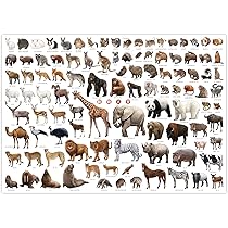 動物 シリーズ　　サファリ・・ほか非売品 ポスター10本セット 動物 シリーズ サファリ・・ほか非売品 ポスター10本セット 動物
